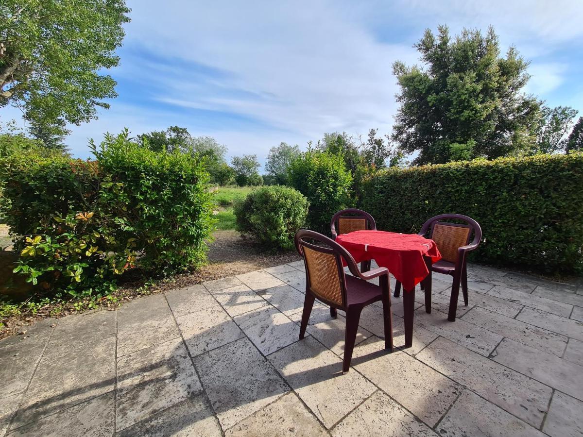 Bed and Breakfast Les Buisses En Provence Piolenc Exterior foto