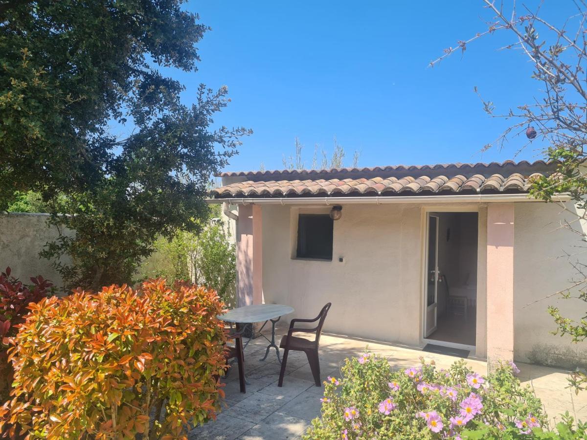 Bed and Breakfast Les Buisses En Provence Piolenc Exterior foto