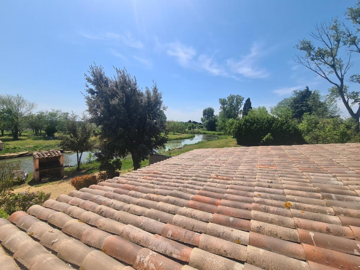 Bed and Breakfast Les Buisses En Provence Piolenc Exterior foto